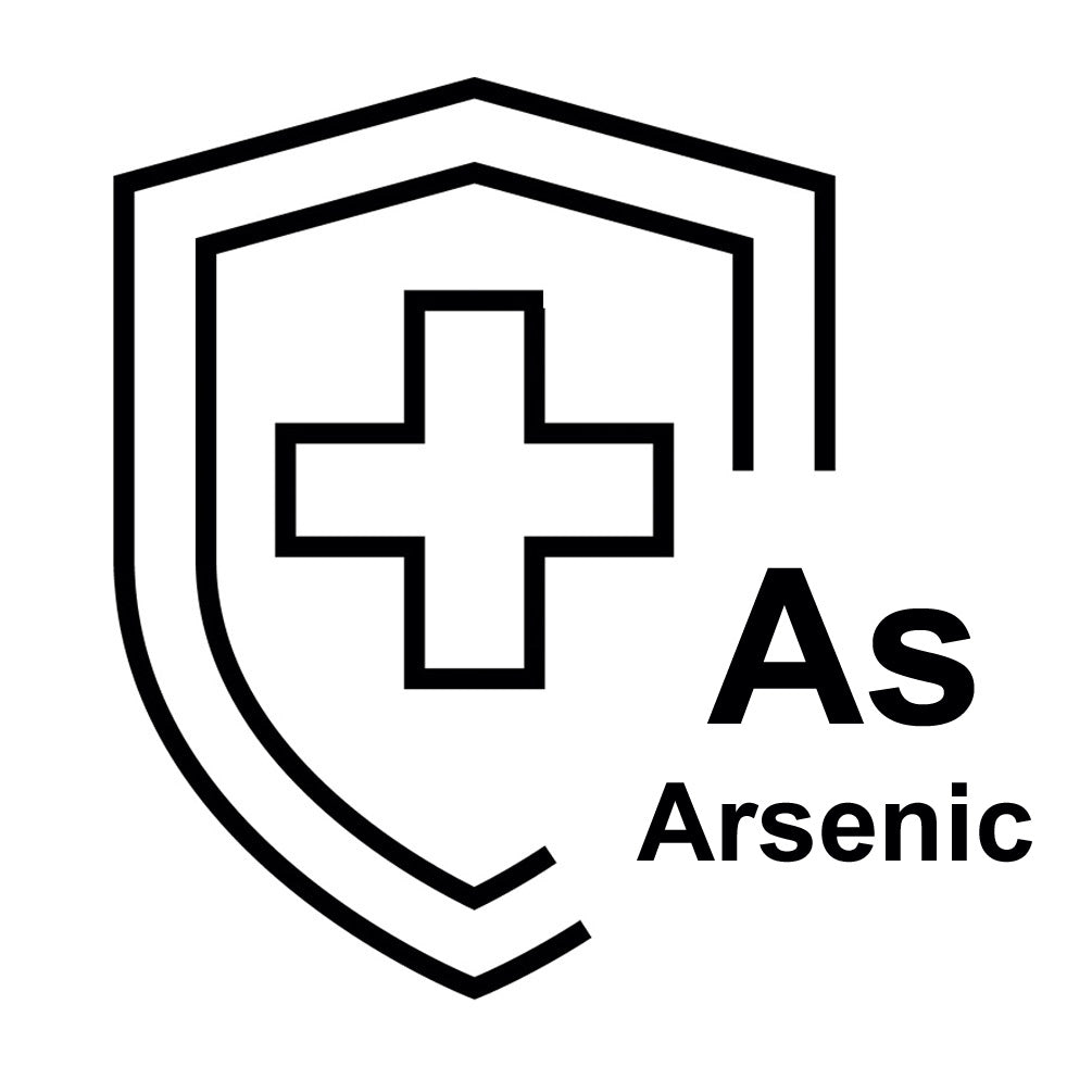 GFH 10 SX TS - Filtre à eau pour arsenic